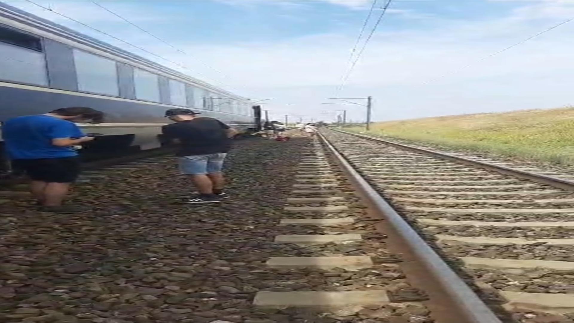 Un tren de marfă şi unul de călători au intrat pe aceeaşi linie! Circulaţie feroviară oprită temporar