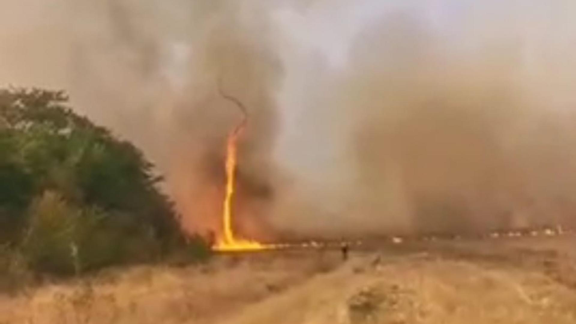 Incendiu de vegetaţie în judeţul Dolj, în apropierea DN 6. Trafic BLOCAT, din cauza marilor degajări de fum - FOTO/VIDEO