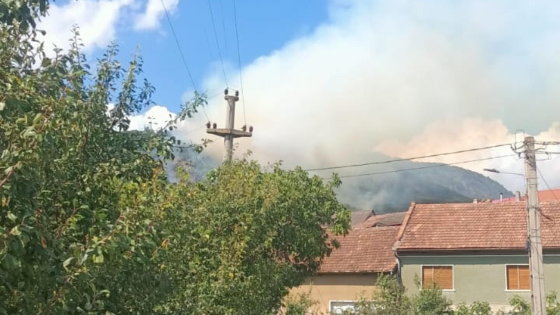 VIDEO – A reizbucnit incendiul în parcul natural Porțile de Fier. Hectare întregi de pădure sunt mistuite de flăcări