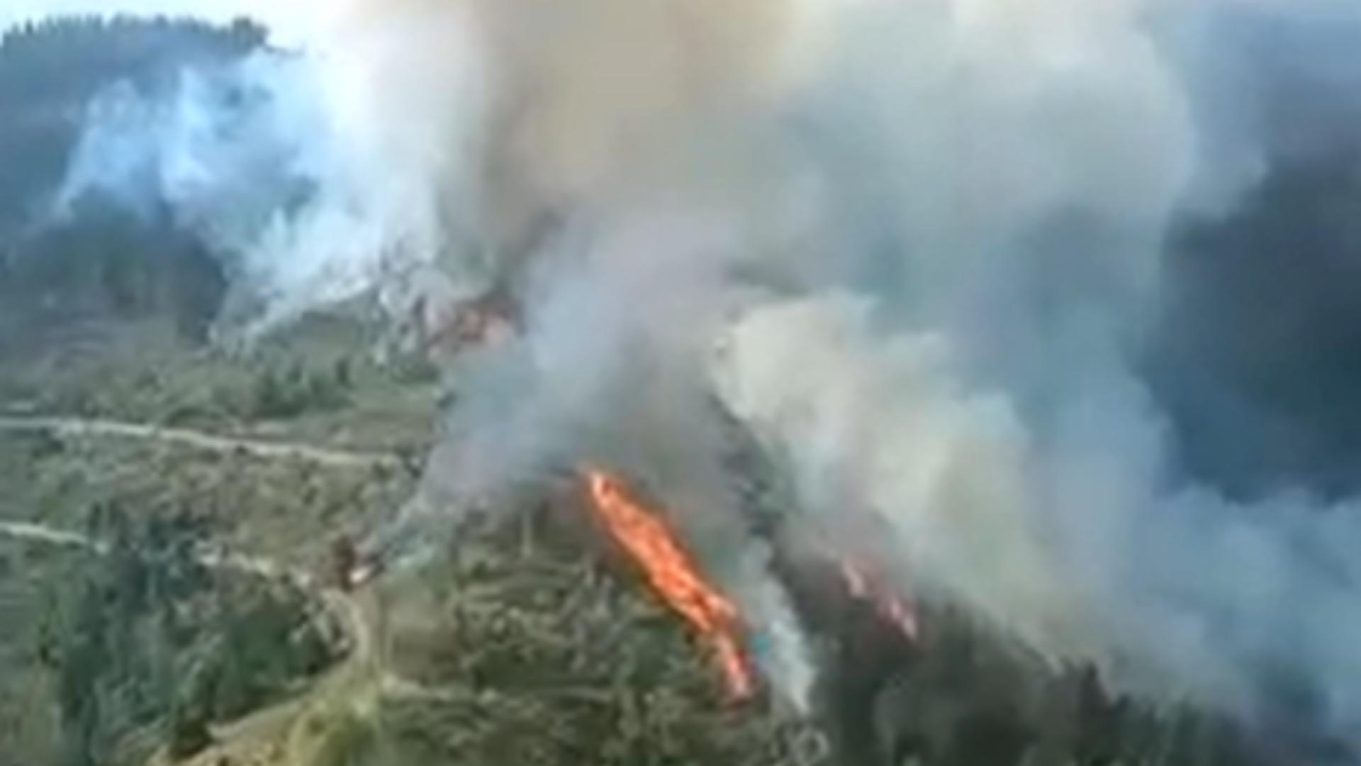 Munții României, mistuiți de flăcari din cauza temperaturilor extreme. 80 de hectare de pădure ard, în județul Gorj/ Captură video