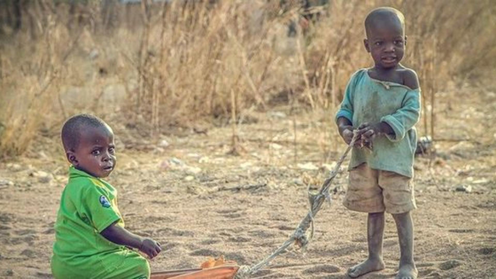 Foamete cruntă în Africa! Animalele sălbatice sunt împușcate pentru alimentarea populației