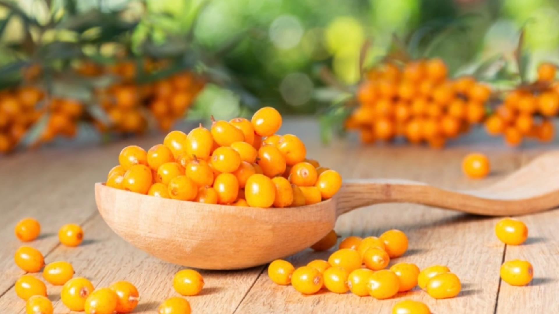 5 beneficii pentru sănătate ale cătinei 