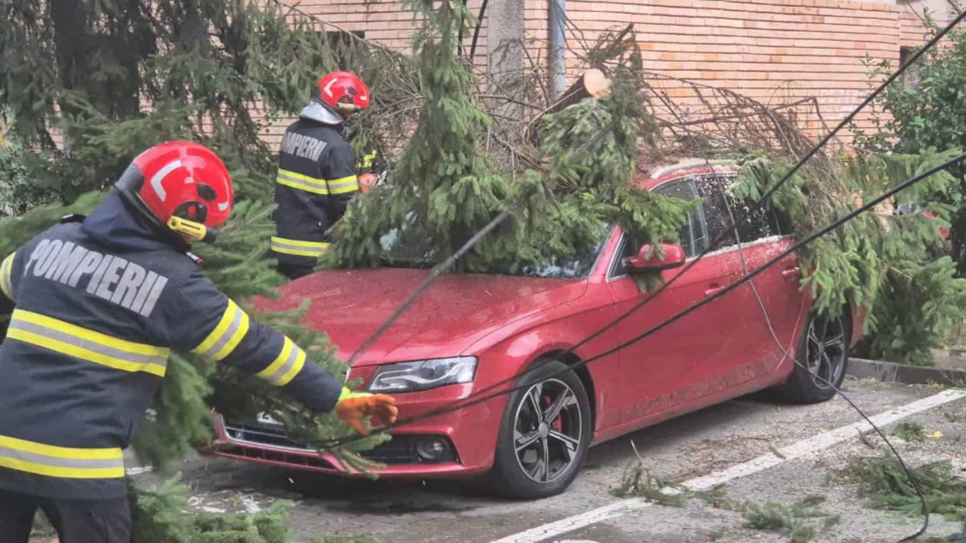 Un copac a căzut peste un autoturism