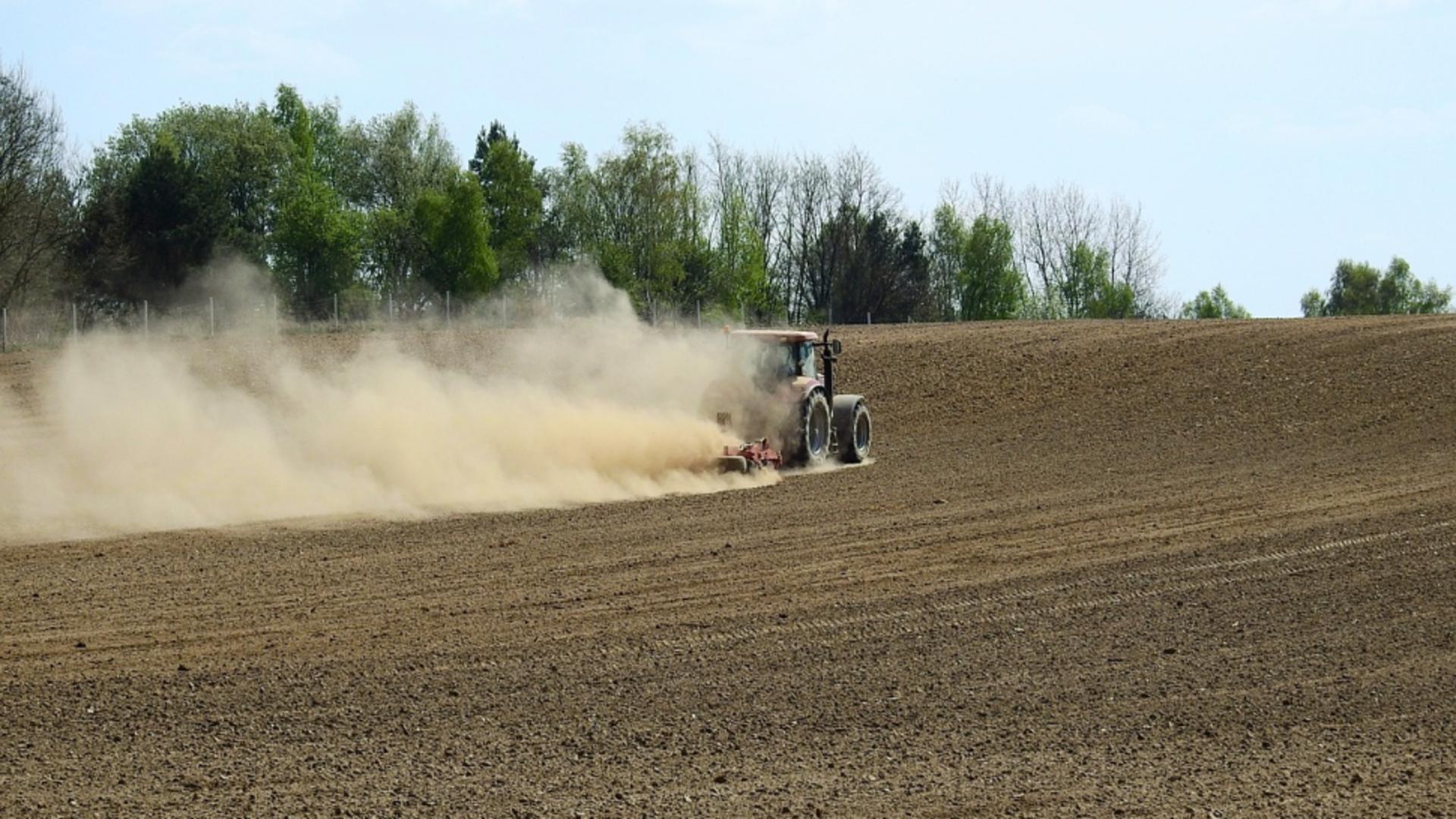 Ministrul Agriculturii anunță despăgubiri pentru fermieri din cauza secetei: Când vor intra banii