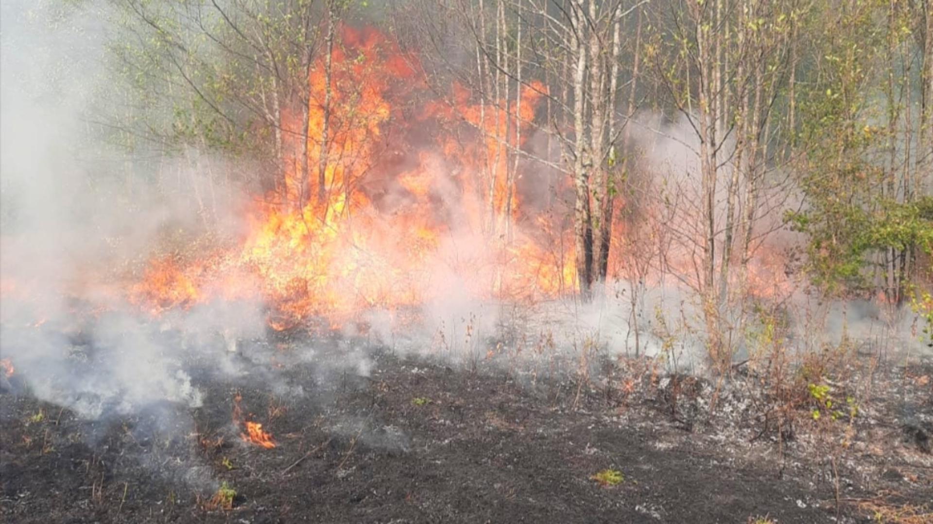 Incendiu de proporții în Hunedoara. Au ars 150 de hectare de vegetație. Mai multe locuințe sunt în pericol FOTO