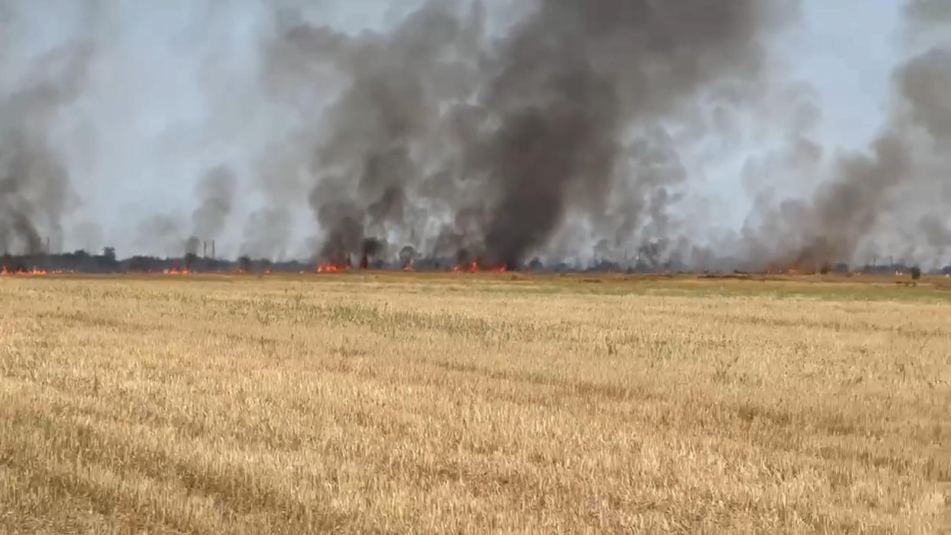 Flăcările înaintează rapid din cauza vegetației uscate (sursă: Mario Ciociorna)