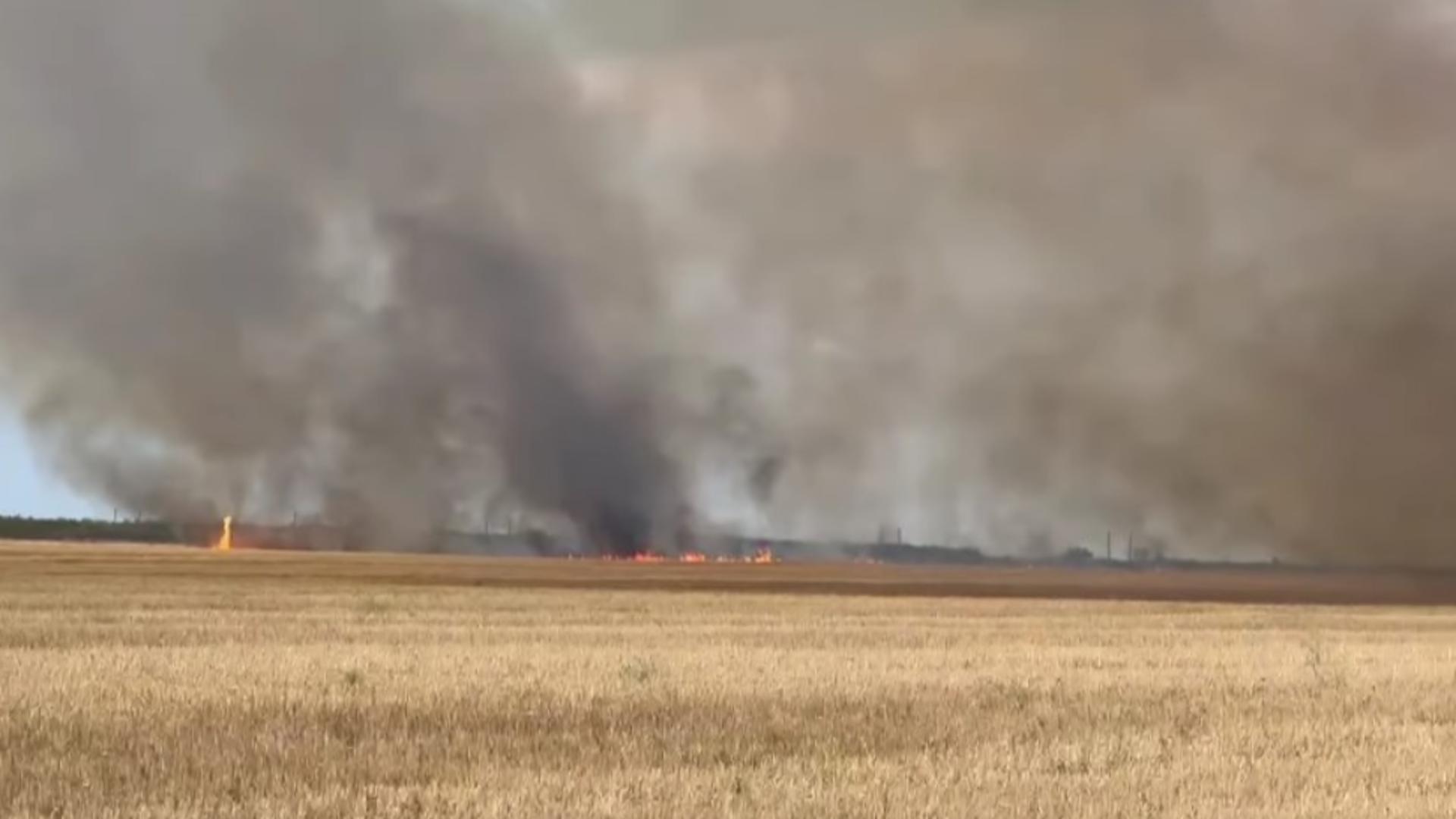 Incendiu masiv de vegetație în România. Drum închis din cauza fumului - VIDEO