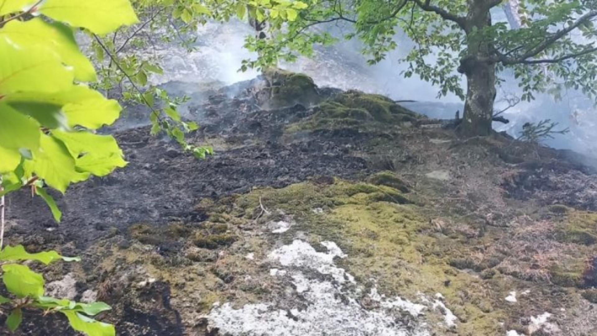 Incendiu puternic de vegetație pe DN 6 Drobeta-Turnu Severin-Băile Herculane. Autoritățile au intervenit de urgență