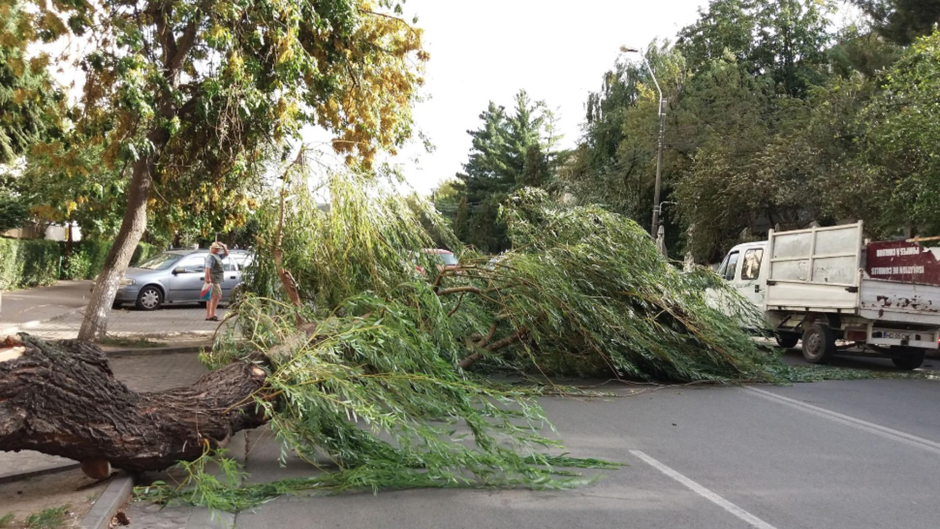 Vremea extremelor: canicula va fi înlocuită de instabilitate atmosferică. Unde vor lovi vijeliile, potrivit ANM/ Profimedia