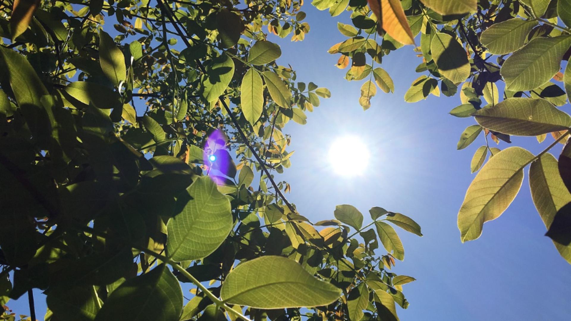 Prognoza meteo, 21 septembrie.