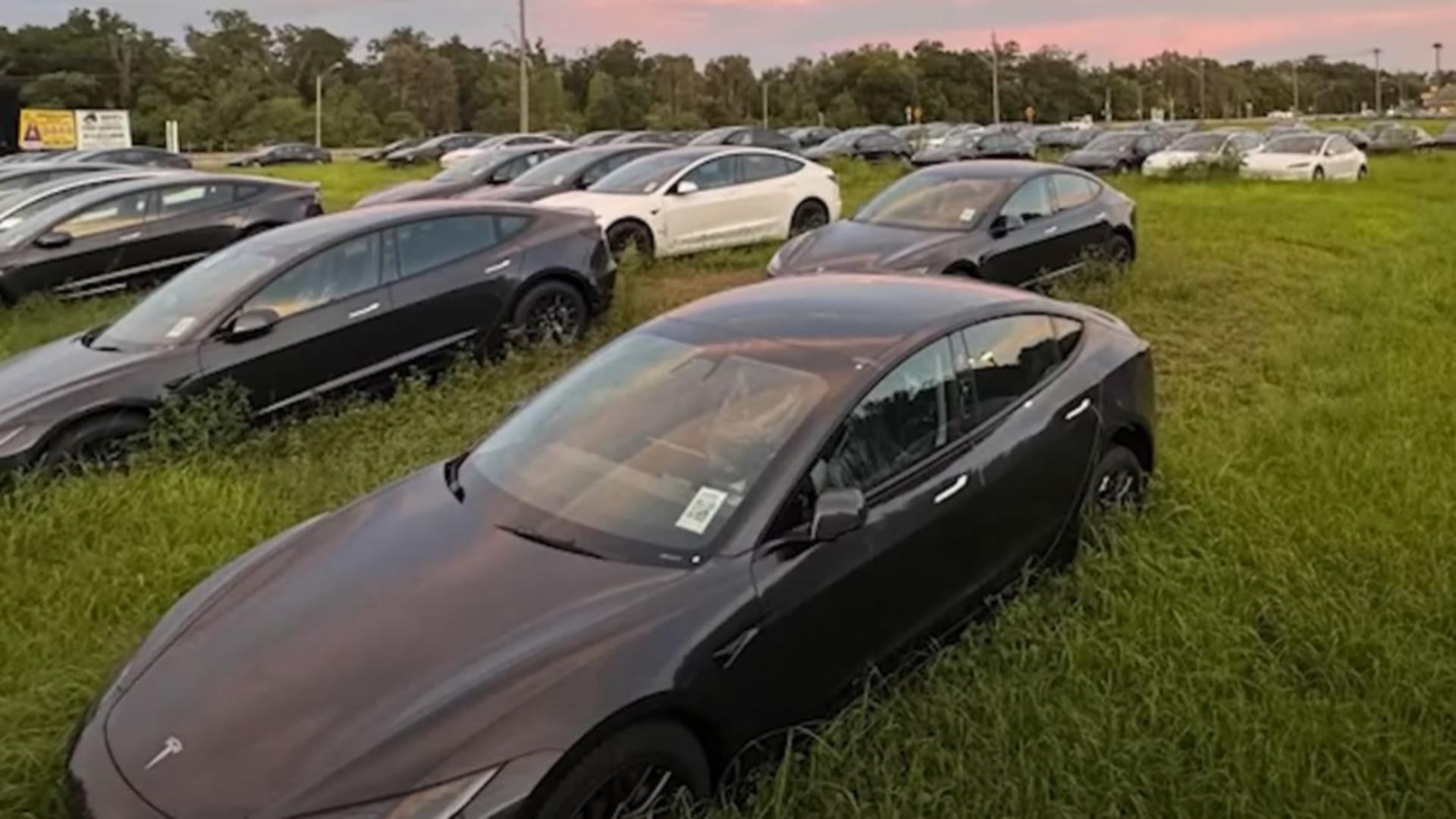 Zeci de Tesla noi, abandonate pe un câmp din Florida. Foto/Captură video