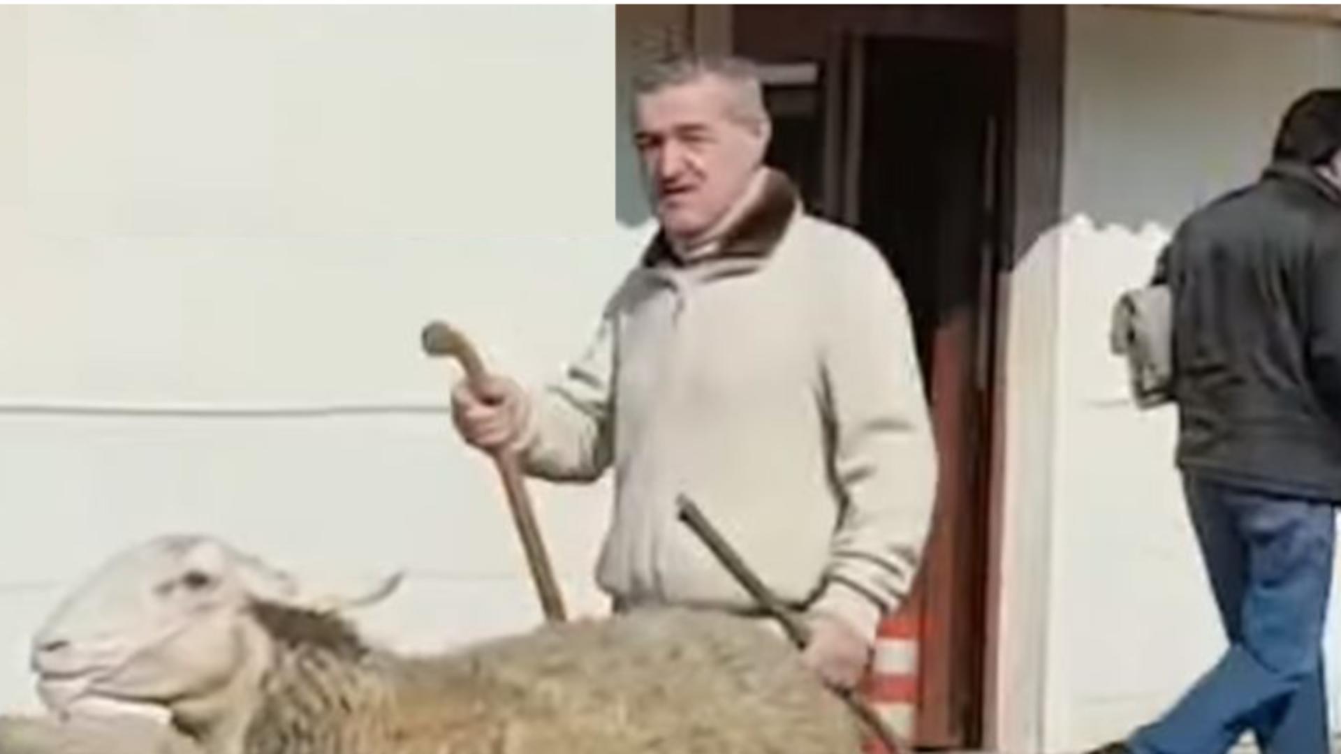 George Becali acuză o mistificare, dar și o serie de ilegalități