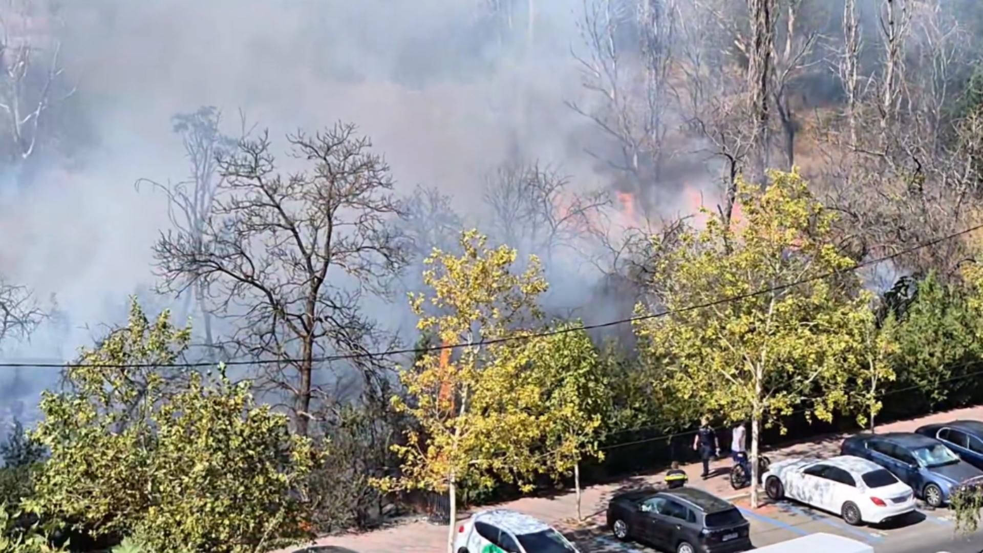 INCENDIU de vegetație uscată în Parcul IOR de Capitală! Intervin pompierii FOTO&VIDEO/ Foto: Prietenii Parcului IOR