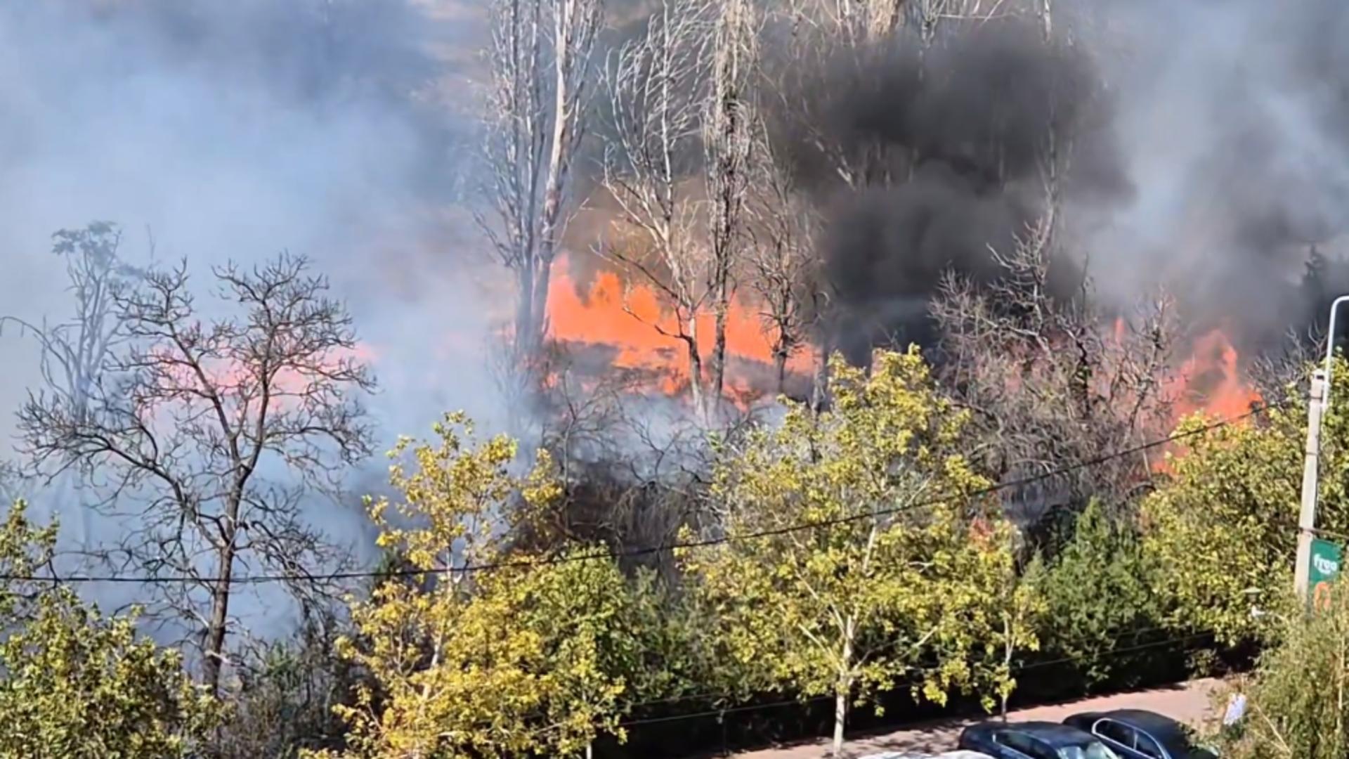 INCENDIU de vegetație uscată în Parcul IOR de Capitală! Intervin pompierii FOTO&VIDEO/ Foto: Prietenii Parcului IOR