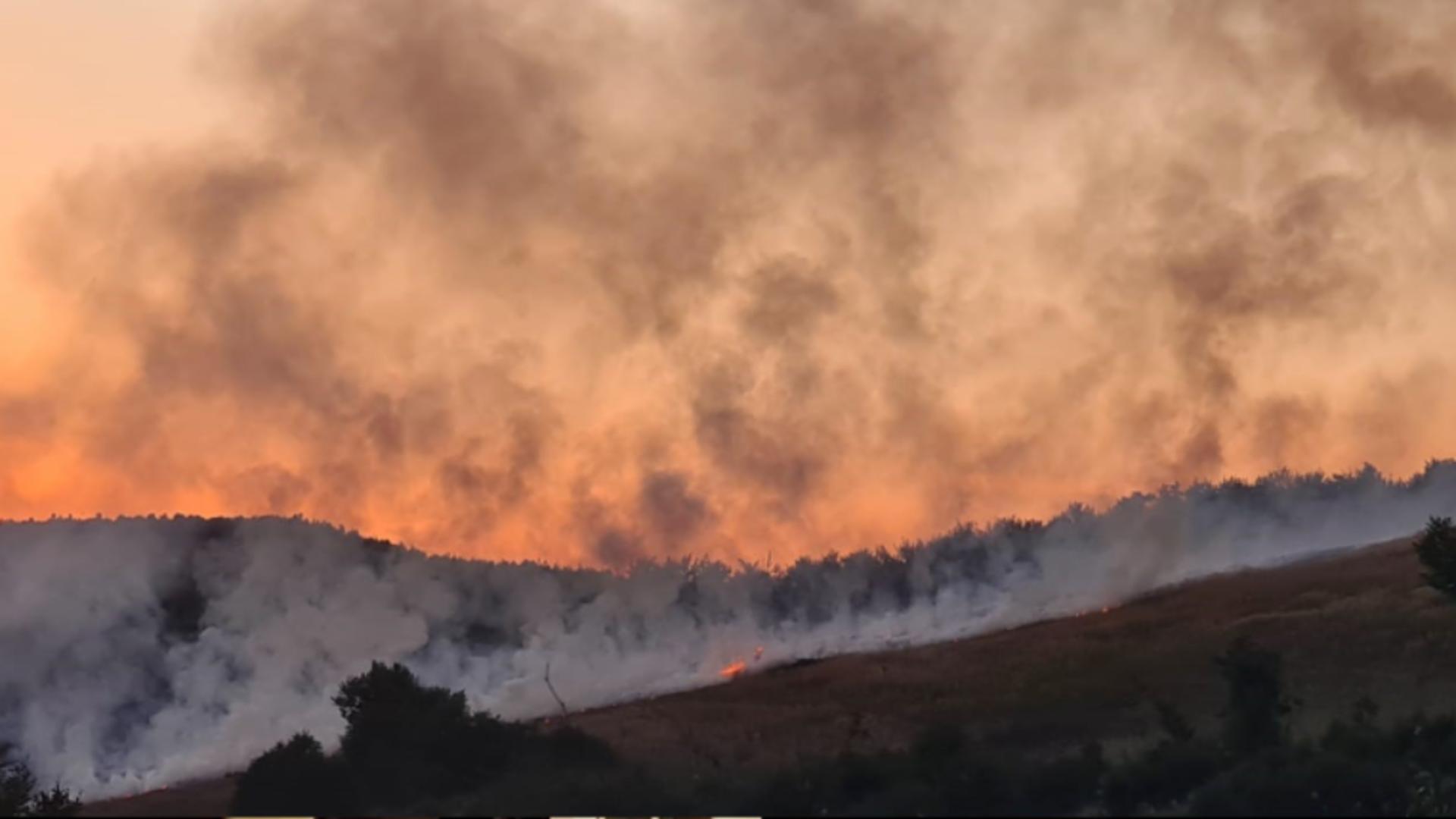 Nou incendiu de vegetaţie în județul Maramureș: este afectată o suprafaţă de 70 de hectare. Intervin pompierii