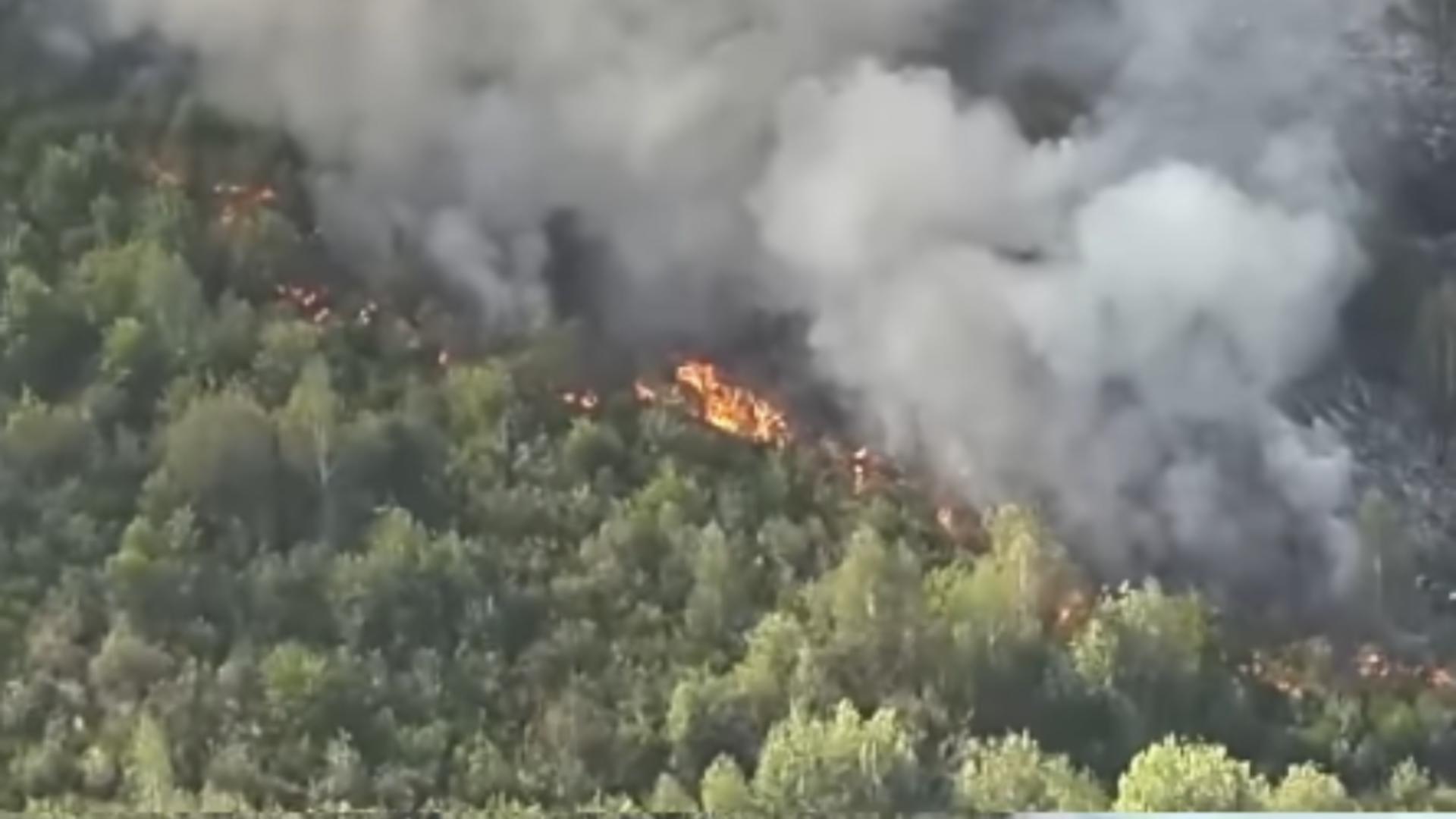 Incendiu Maramureș/ Captură video