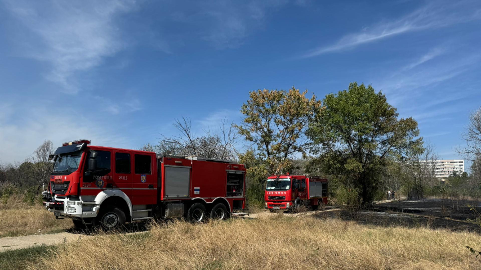 INCENDIU de vegetație uscată în Parcul IOR de Capitală! Intervin pompierii FOTO&VIDEO/ Foto: Prietenii Parcului IOR