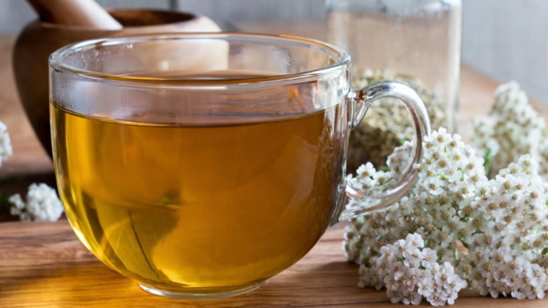 Care sunt beneficiile ceaiului de coada șoricelului?