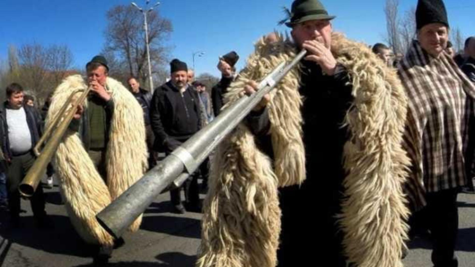 Ciobanii vor protesta în fața Guvernului. Foto/Arhivă