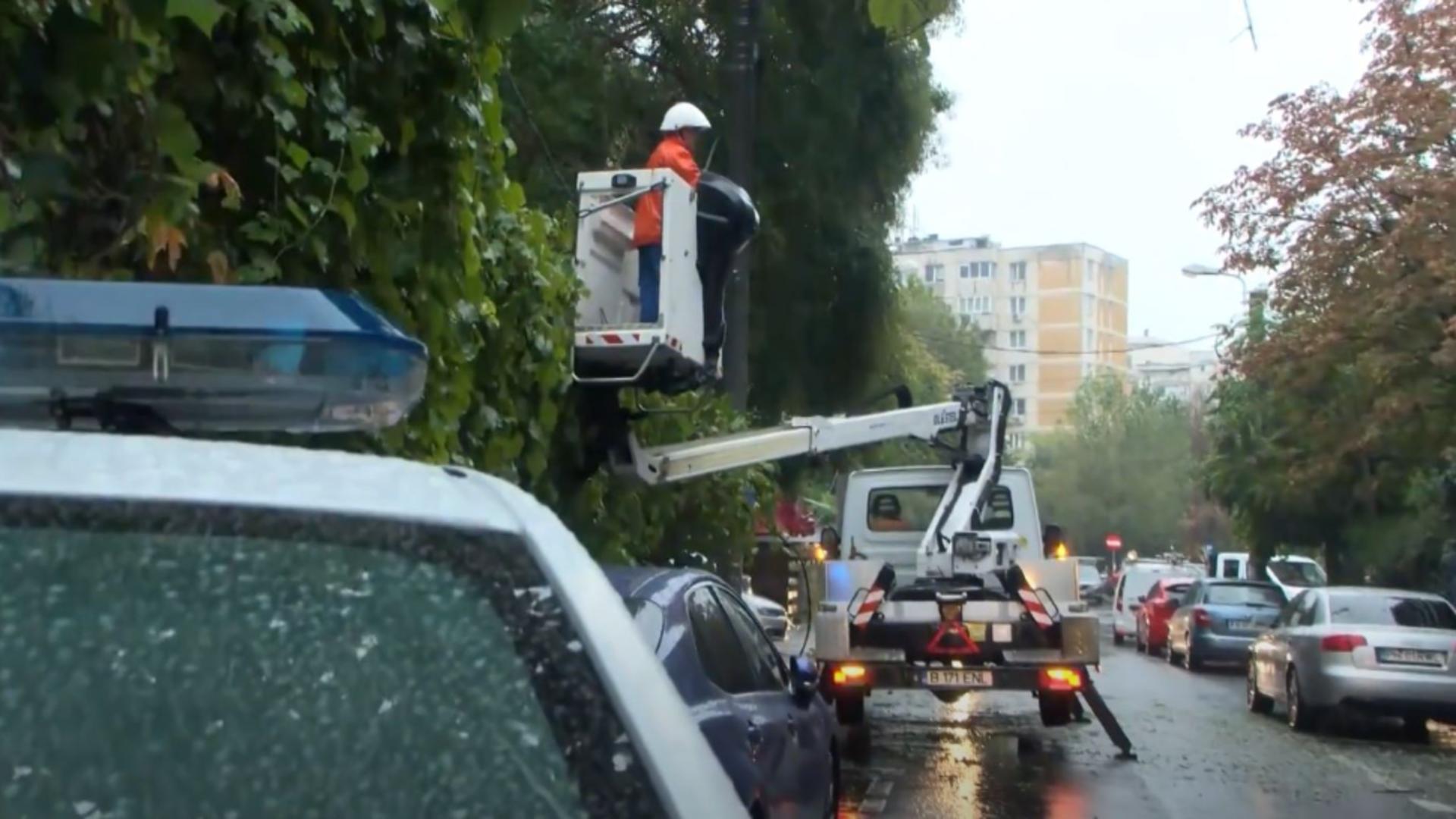 Copaci doborâți de vijelii, în București. Foto/Captură video