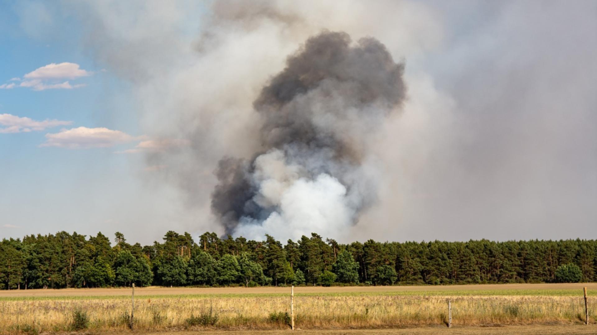 Incendiu de vegetație între Fundulea și Sărulești. Circulația trenurilor a fost oprită