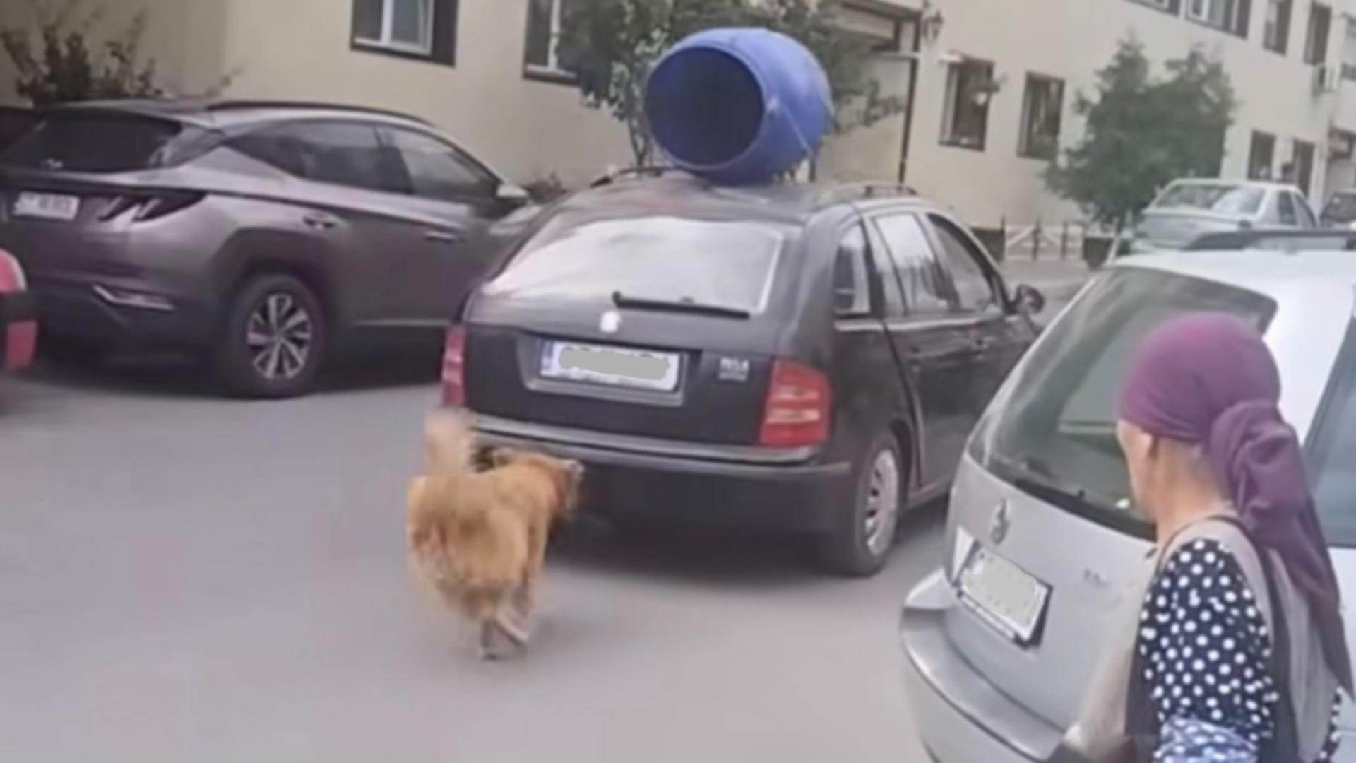 Un bărbat și-a legat câinele de mașină și l-a târât după el. Scenă șocantă pe o stradă din Năvodari - VIDEO