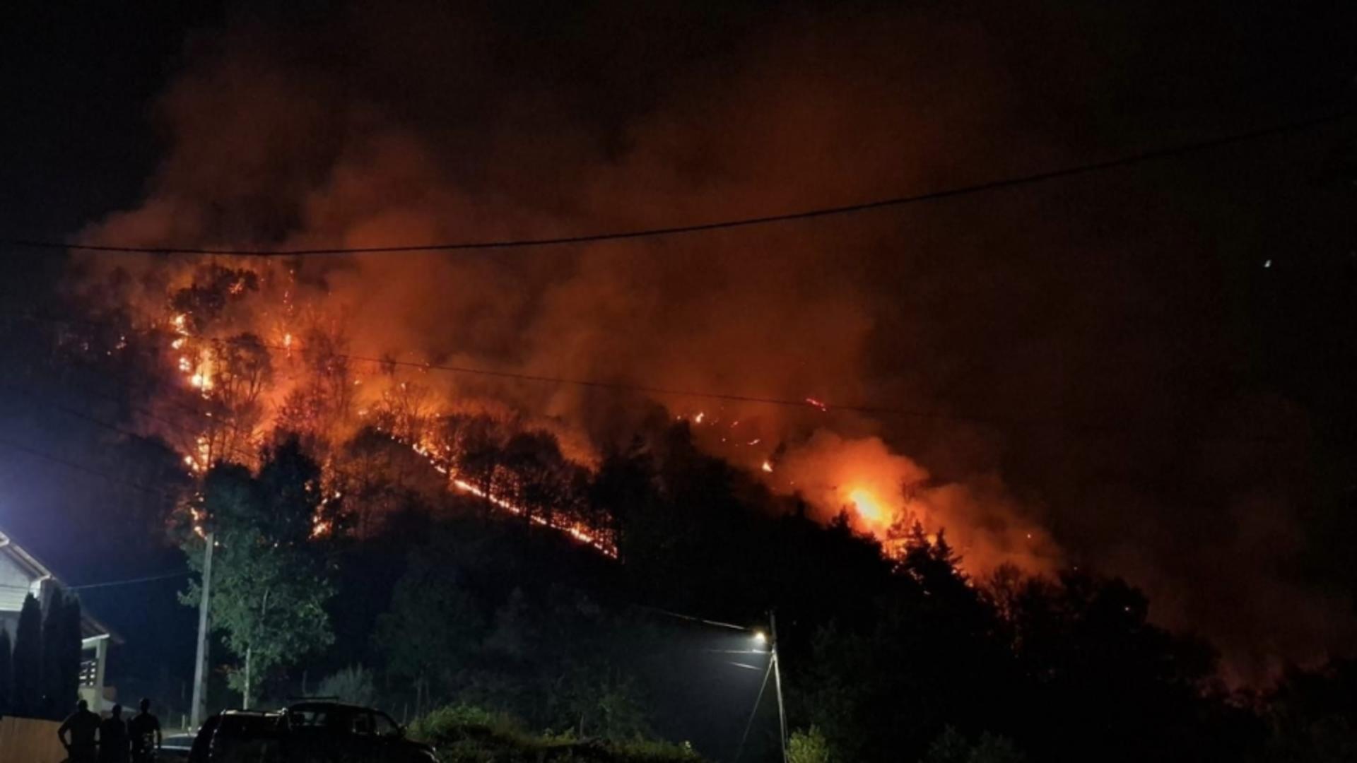 Incendiu devastator în Vâlcea: 20 de hectare de pădure mistuite de flăcări în urma unei petreceri neglijente