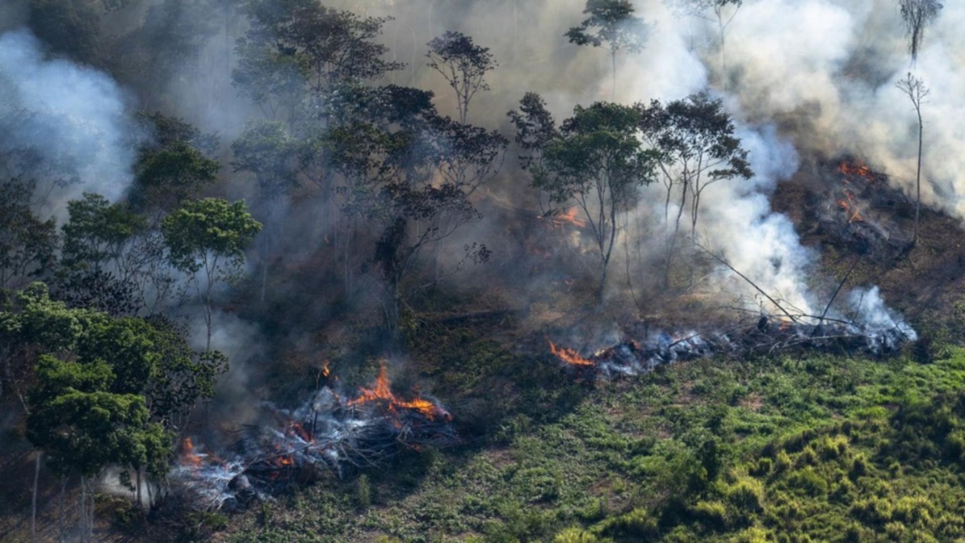 Incendii catastrofale de vegetație: Flăcările au ajuns aproape de capitala Braziliei