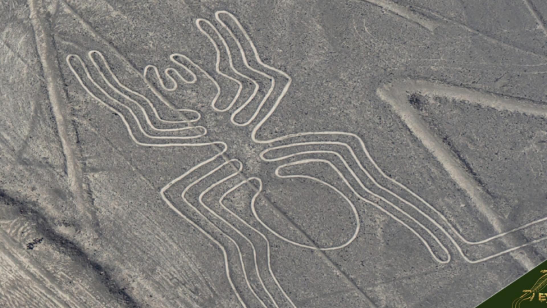 Descoperiri uimitoare despre liniile Nazca: Inteligența artificială aduce noi informații fascinante despre desenele antice