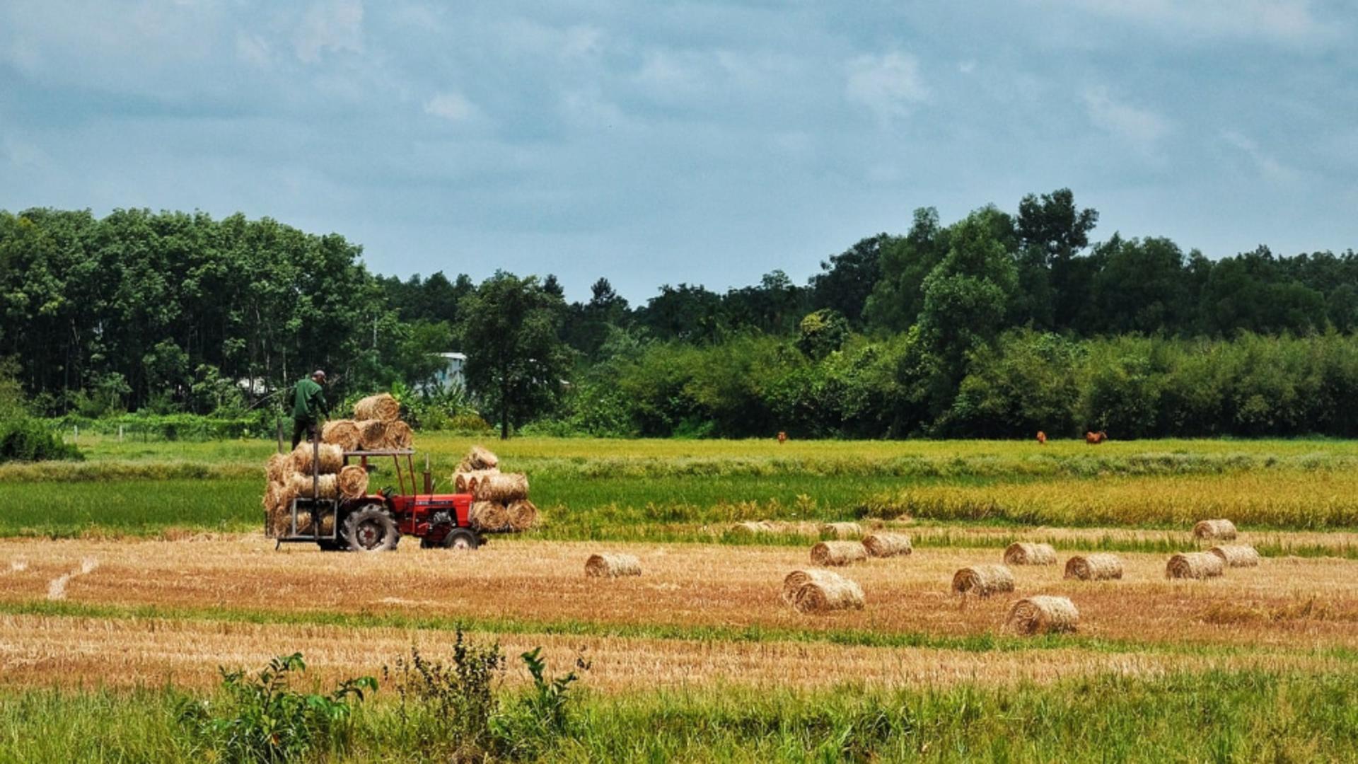 Bani de la guvern pentru fermieri pentru a-şi achiziţiona utilaje agricole