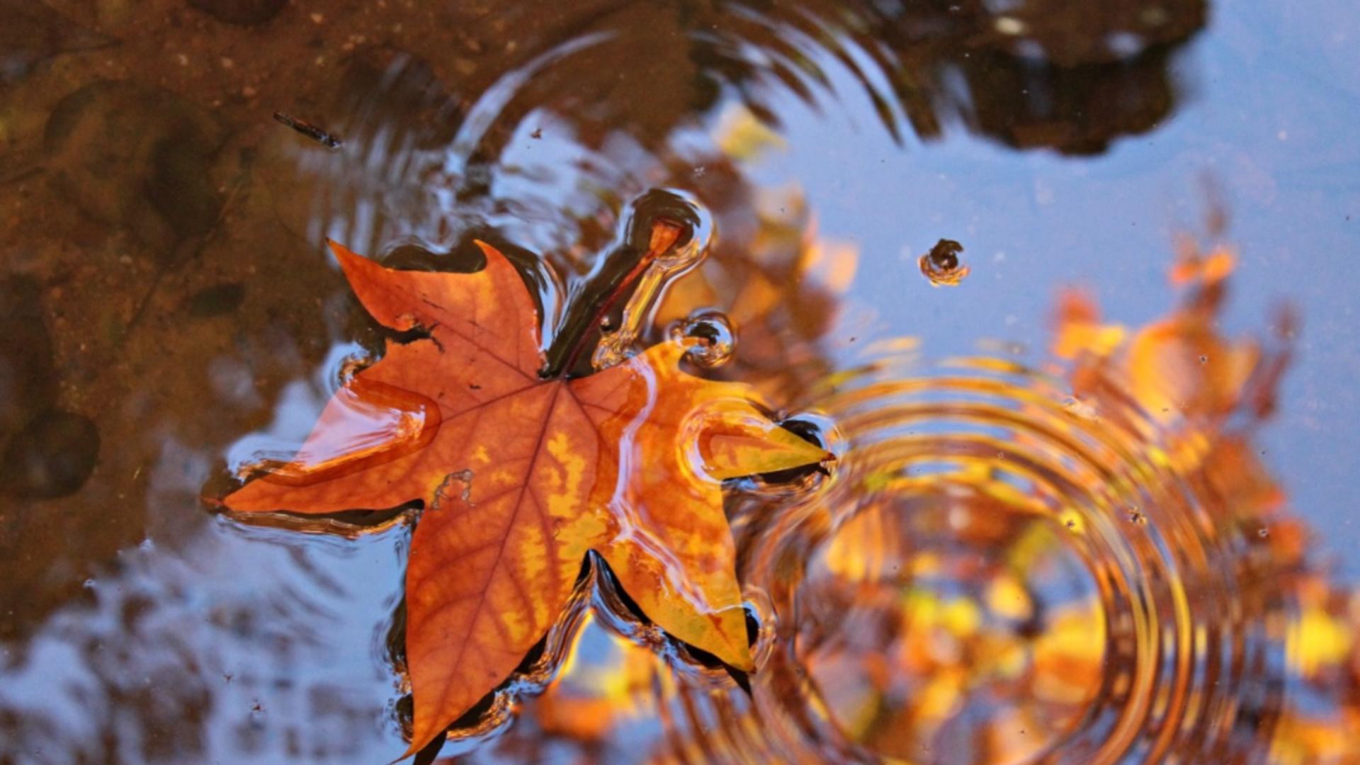 Prognoza meteo sâmbătă, 6 octombrie. Ploile ne strică în continuare planurile de weekend. Unde se va dezlănțui natura