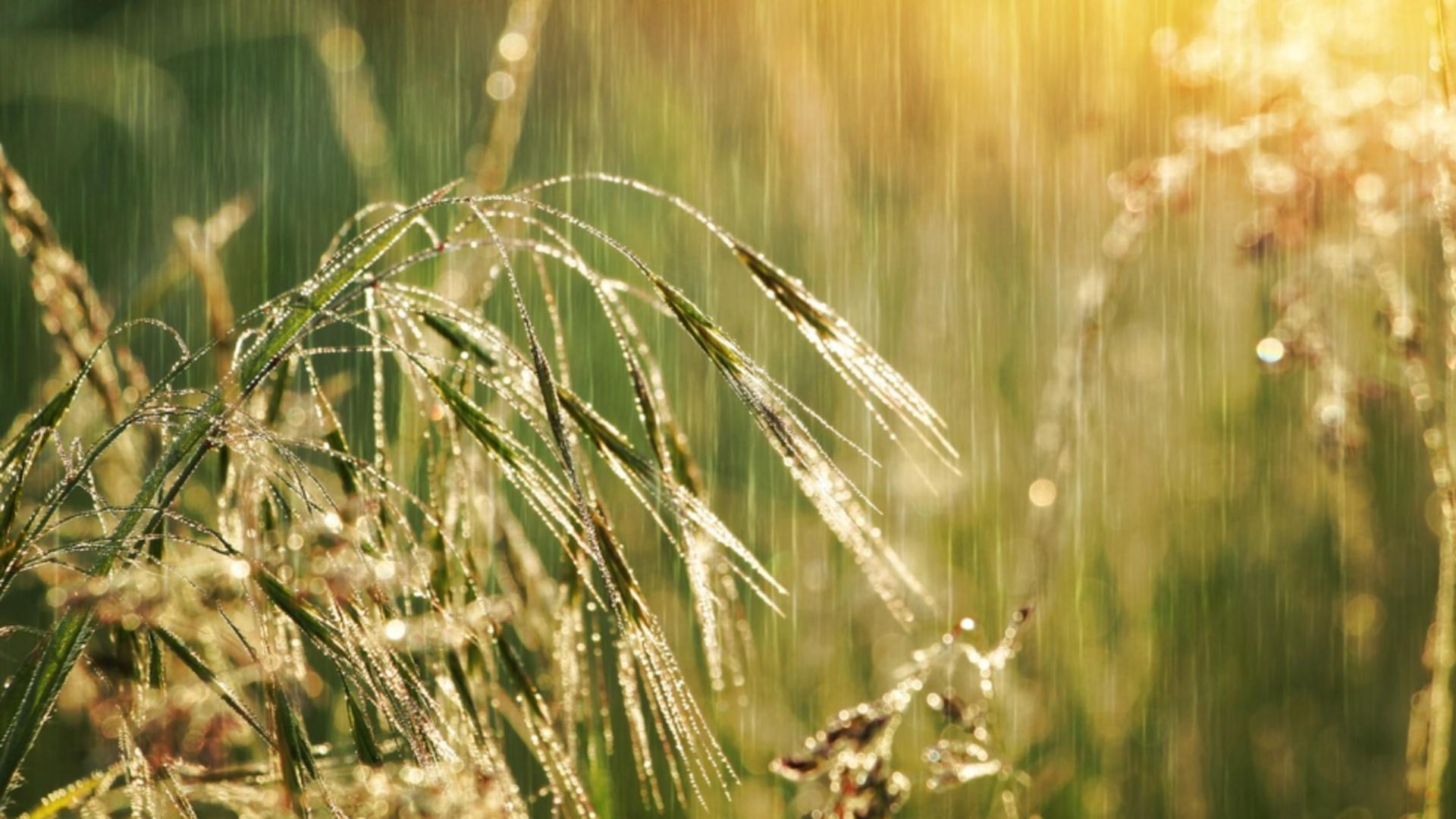 Prognoza meteo 16 septembrie. Ploi însemnate cantitativ, temperaturi în scădere bruscă