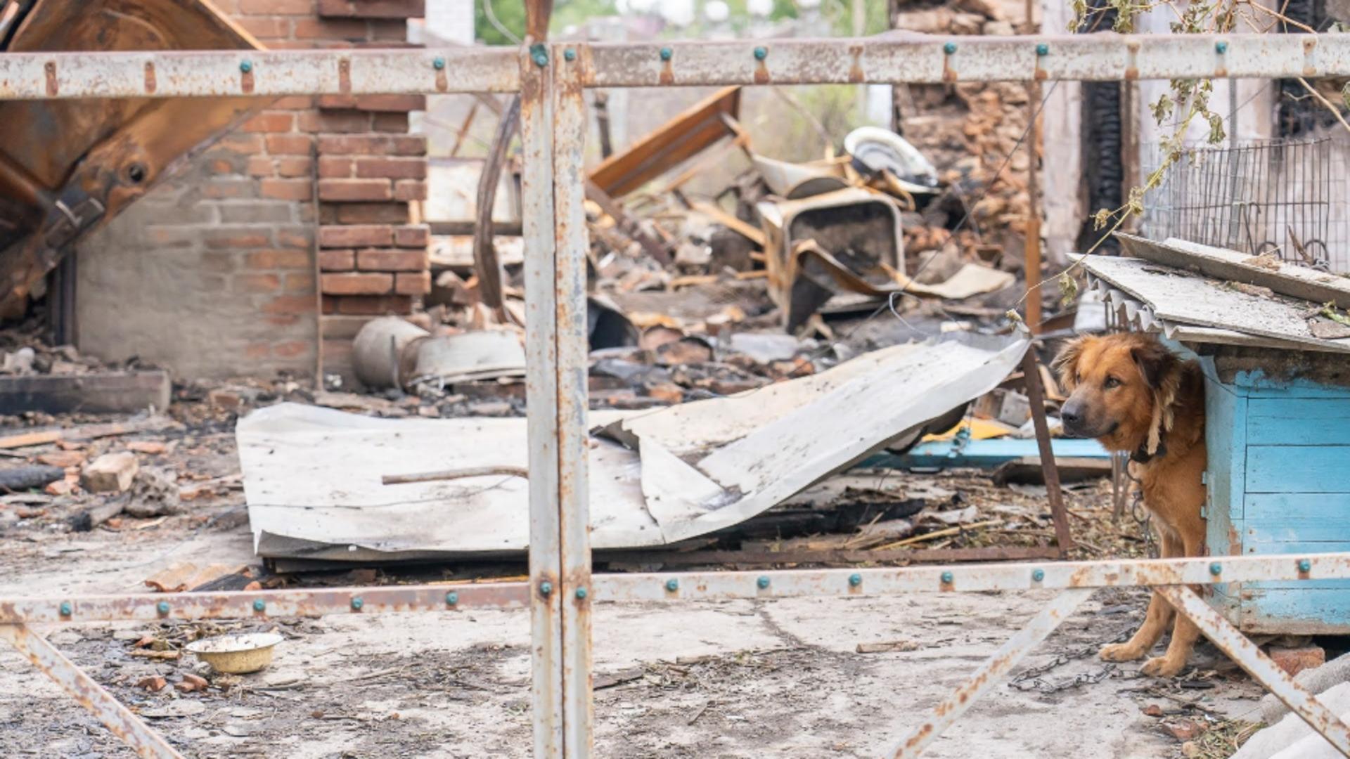 Război în Ucraina, ziua 943 / Foto: Profi Media