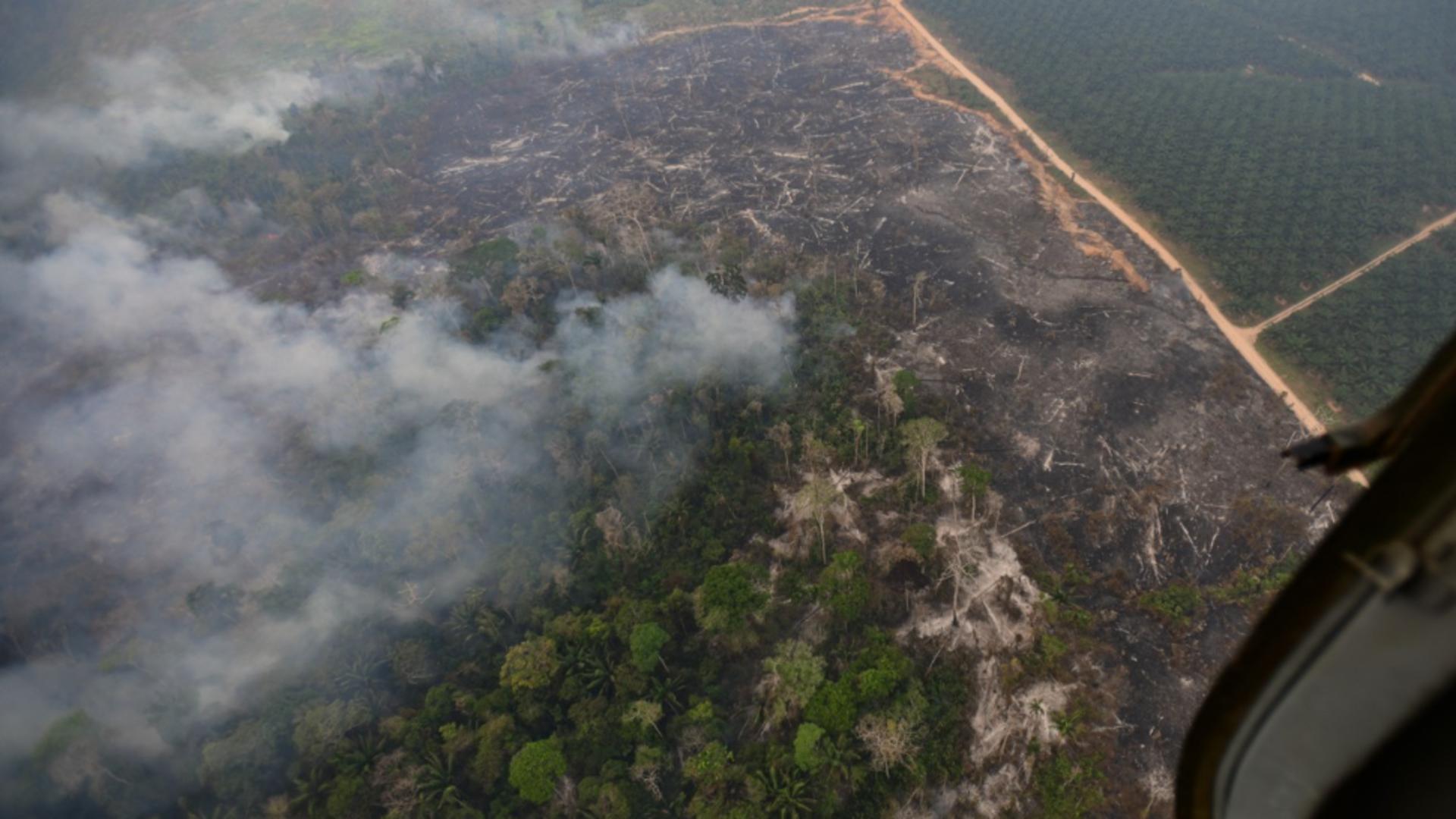 Peru, țara unde pompierii au pierdut lupta cu flăcările. Foto: Profimedia