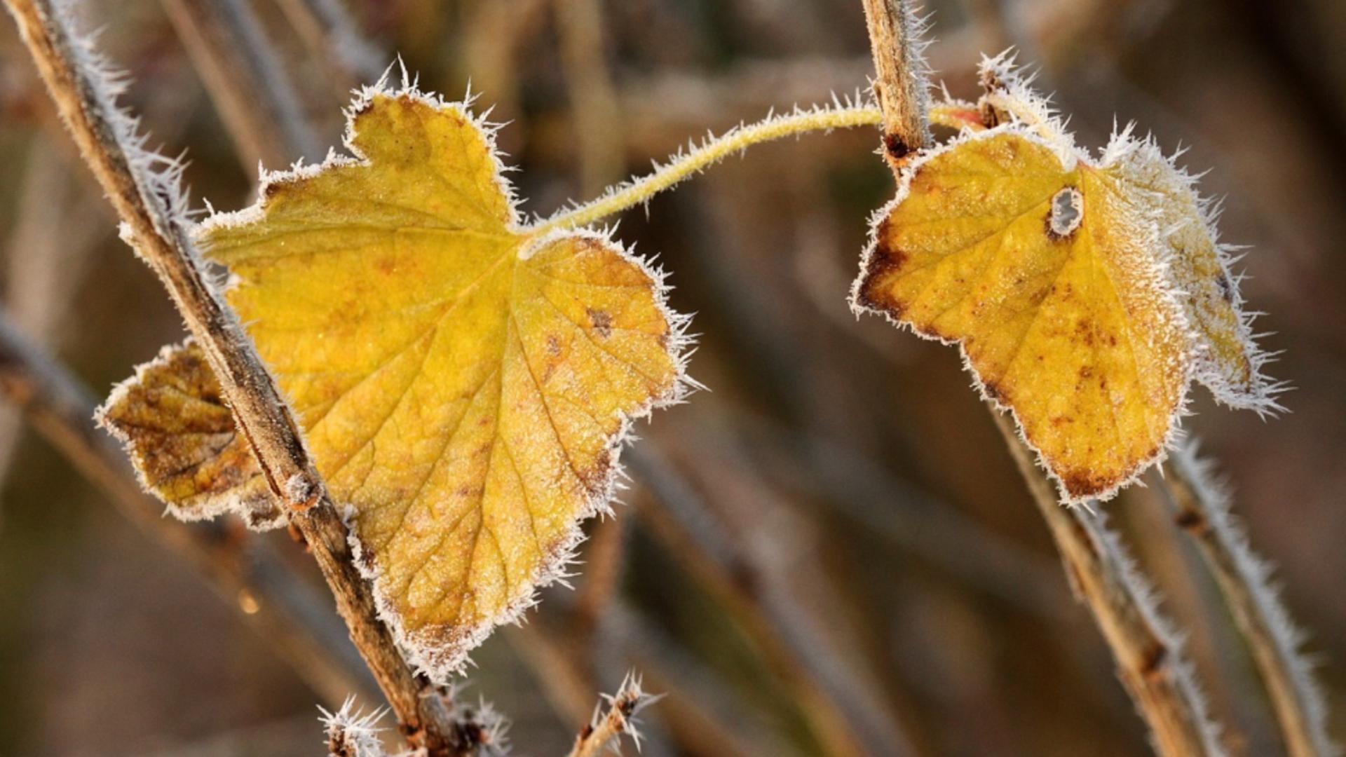 Prognoza meteo actualizată: Primul episod de iarnă în România