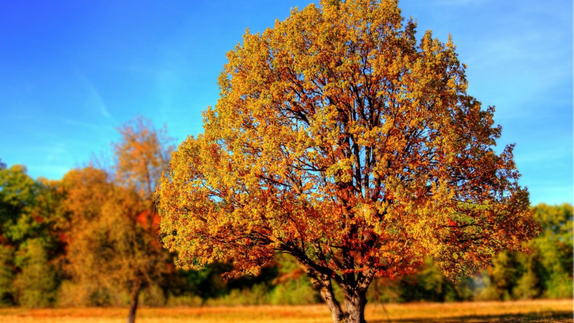 Prognoza meteo pentru 22 septembrie: Temperaturi de până la 28 de grade Celsius în anumite regiuni. Revine vara în România