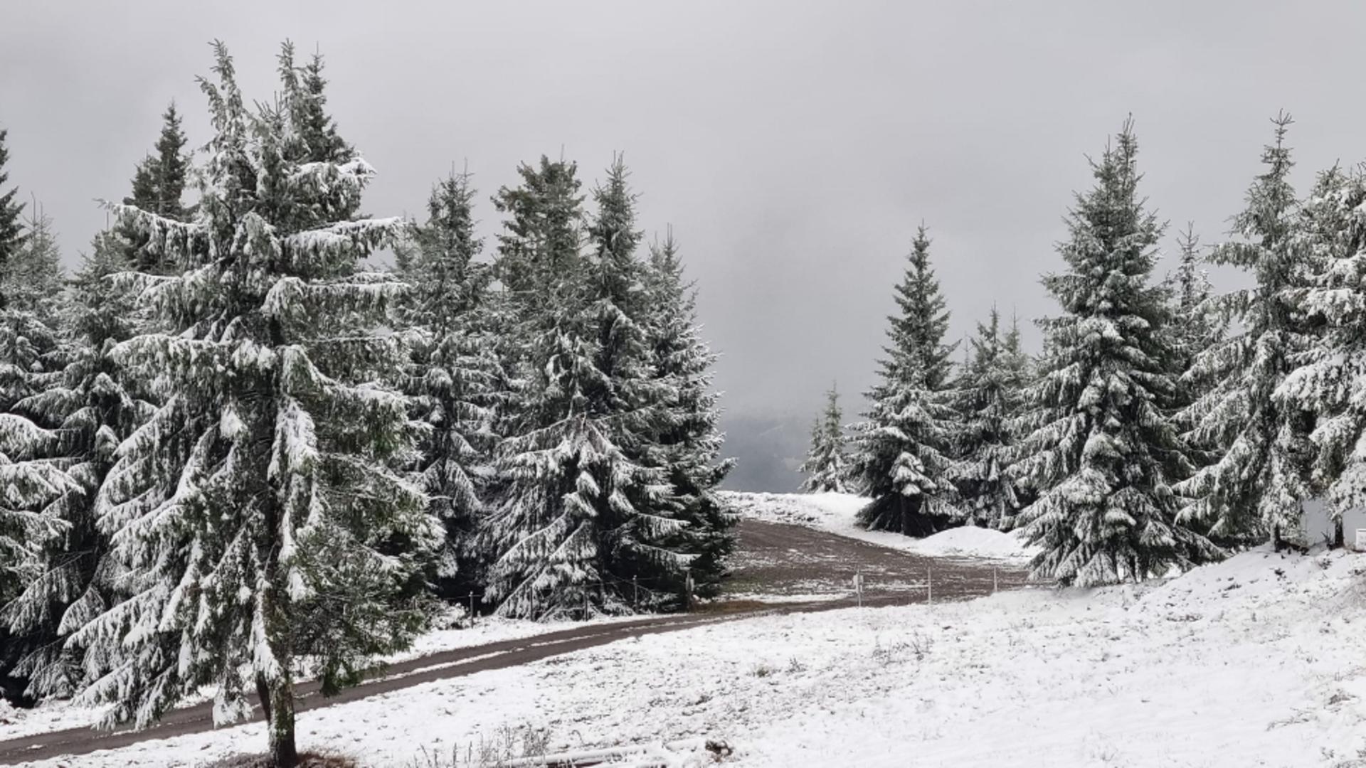 Ce se abate asupra României în următoarea perioadă: Temperaturile scad chiar și cu 10 grade. Anunțul meteorologilor despre ninsori