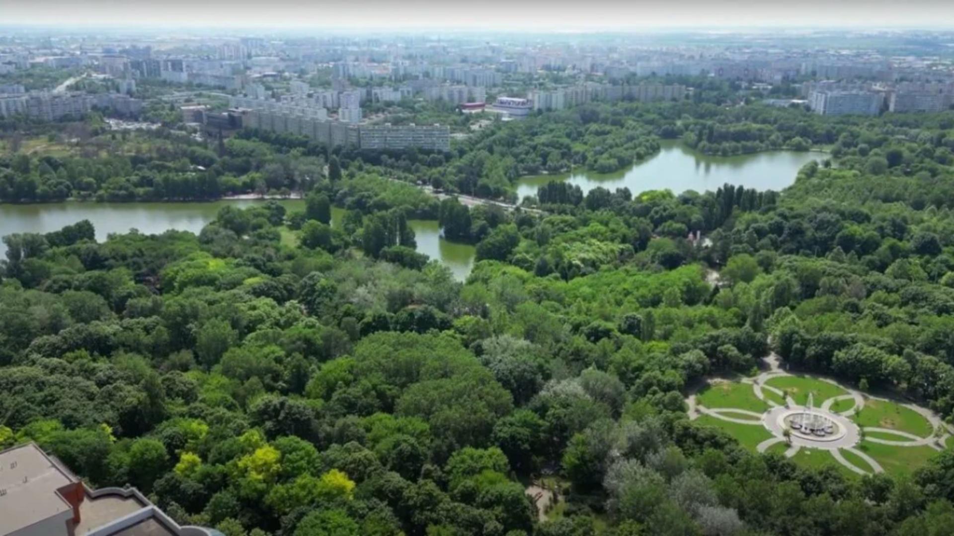 Proprietara terenului retrocedat din parcul IOR a murit