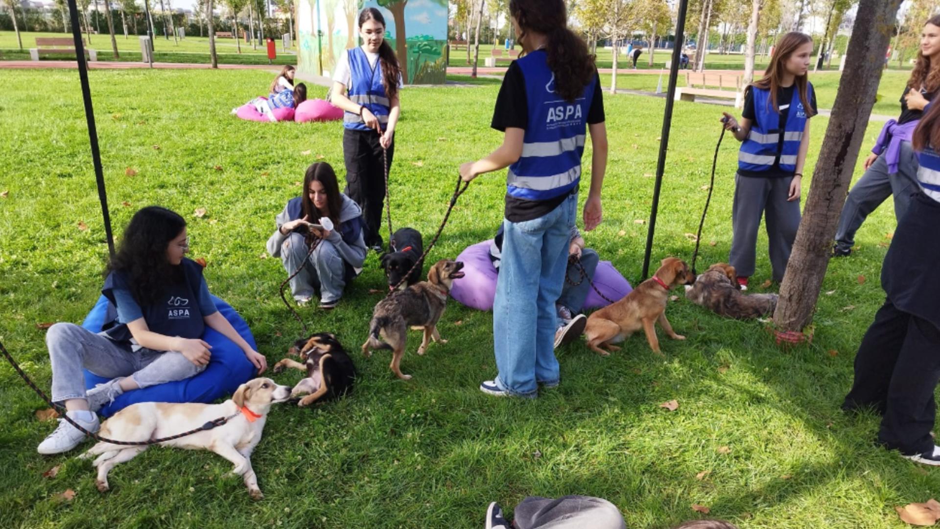 Parcul Tudor Arghezi a fost gazda unui târg de adopții