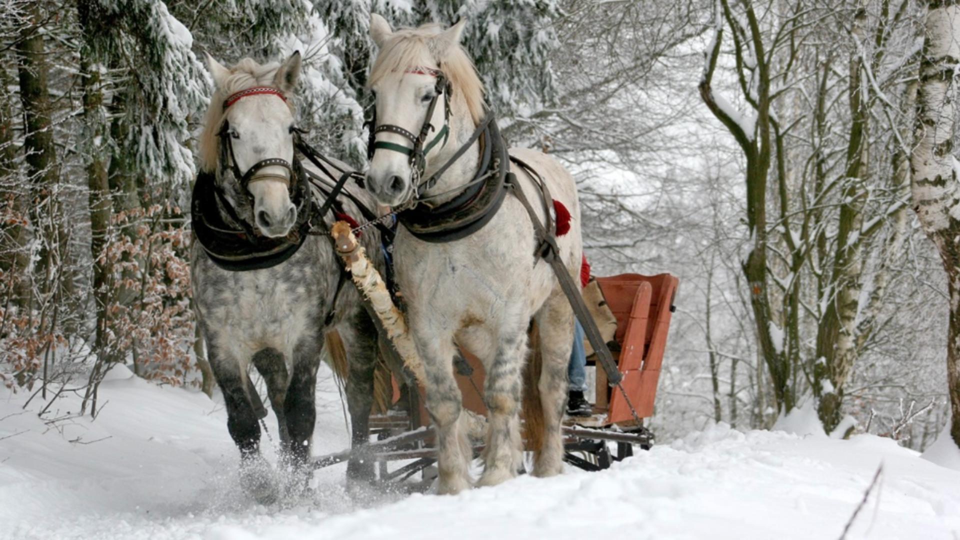 Prognoza AccuWeather. Crăciun de poveste în România – când cad primele ninsori abundente. Prognoza meteo de Revelion