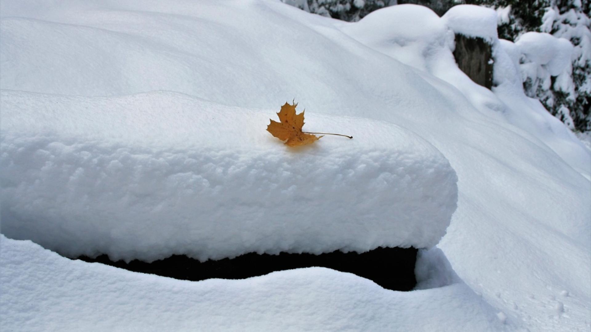 Iarnă în stil „La Nina” în România. Când vor cădea primii fulgi, dar și cât timp va ține prăpădul