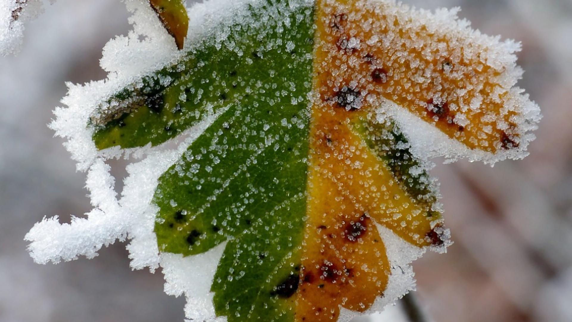 Cât ține gerul de octombrie în România: Îngheț inclusiv în București: „Temperaturi sub valorile normale”