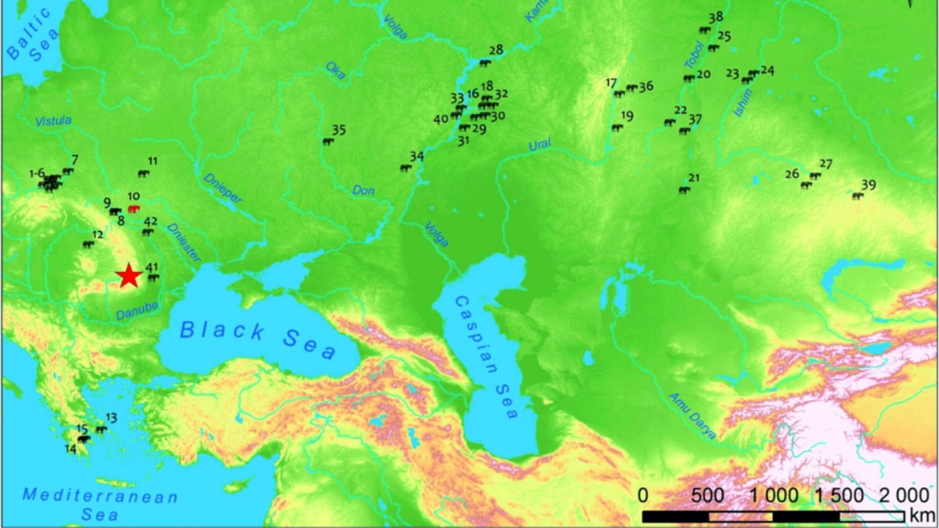 Descoperire arheologică remarcabilă în România: Scheletele găsite pot schimba istoria