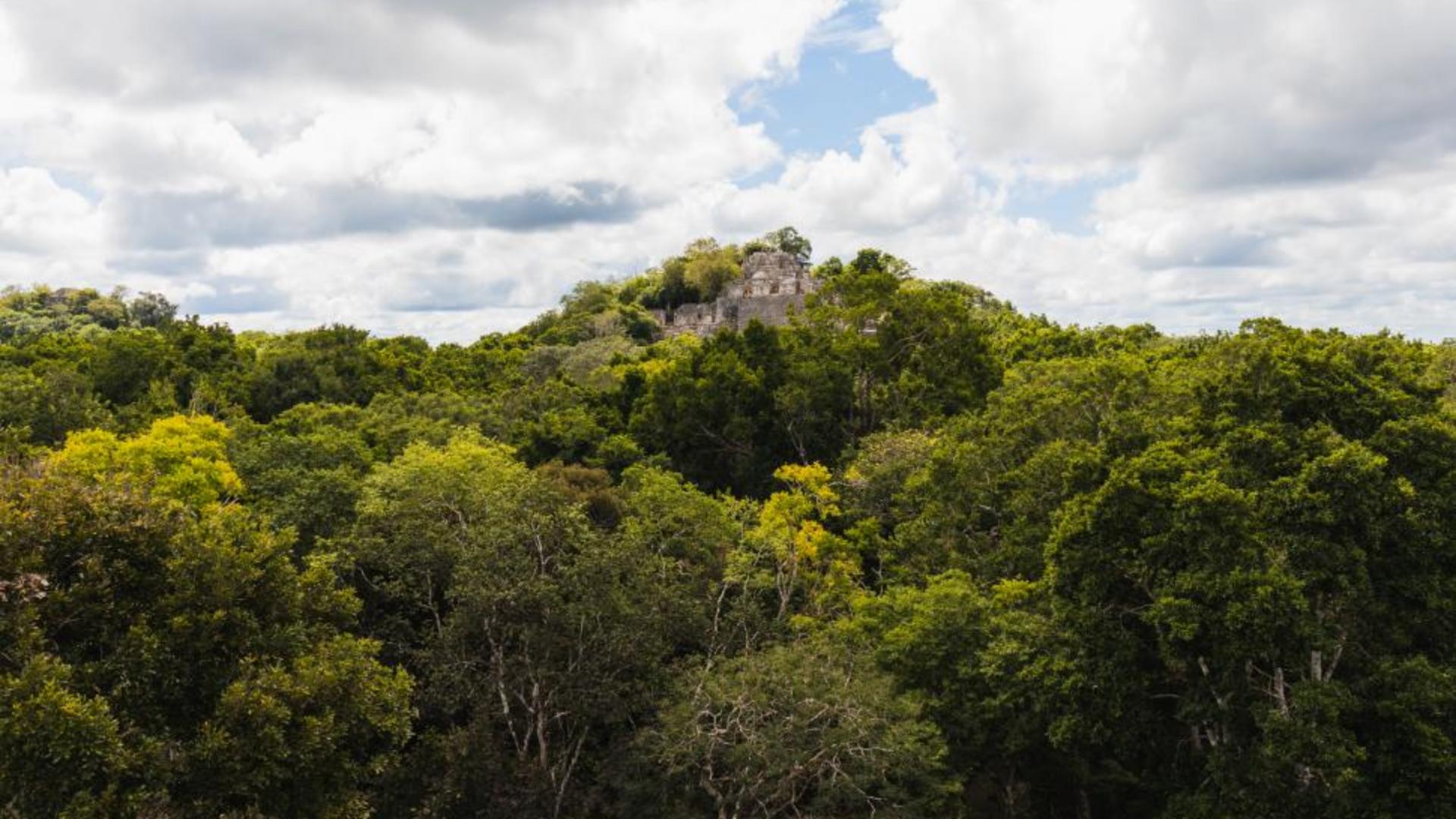 Un oraș antic, de mărimea Bucureștiului, a fost descoperit din întâmplare în jungla mexicană