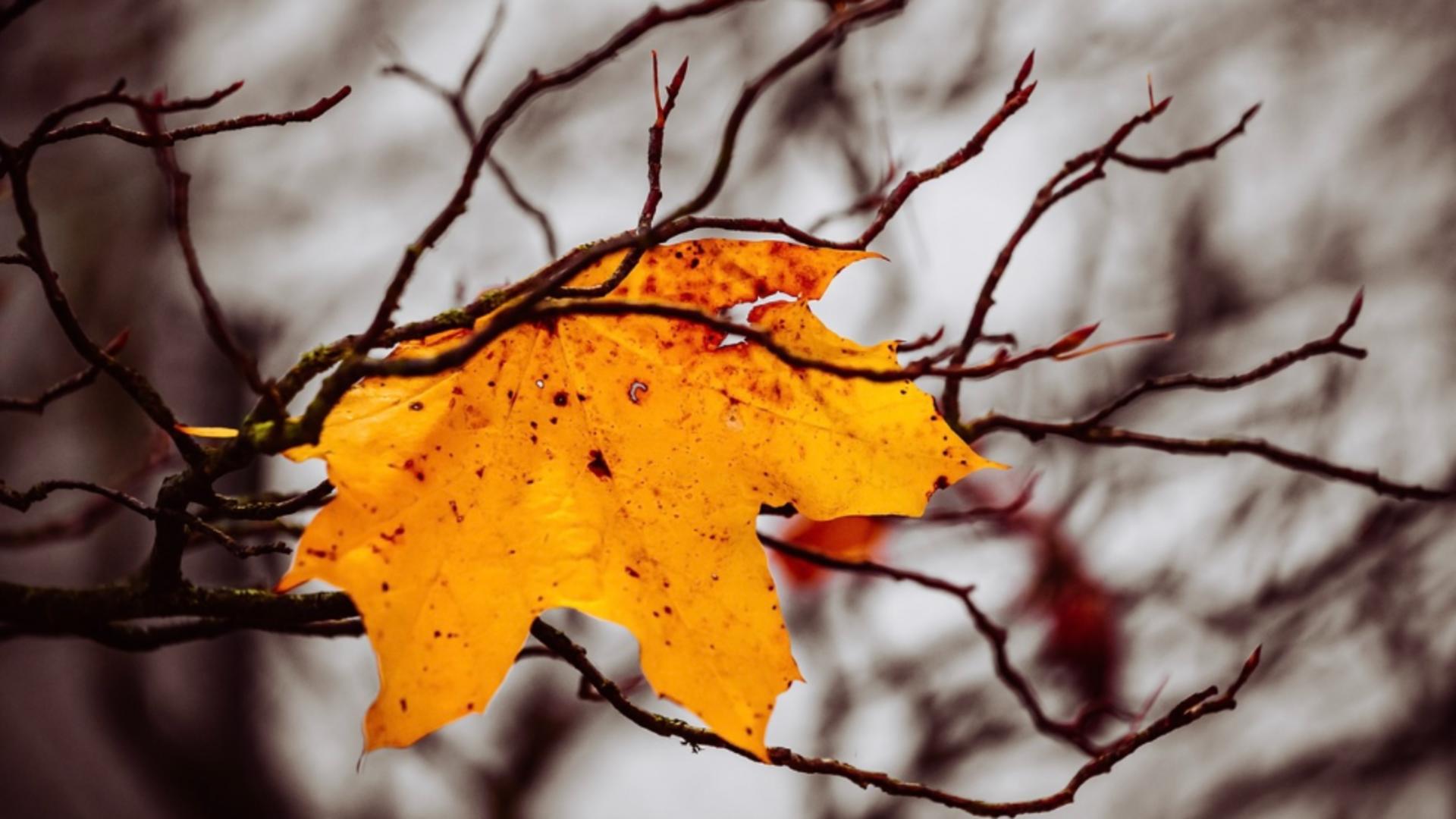 Prognoza meteo pe o lună: răcire accentuată a vremii, ploi răzlețe