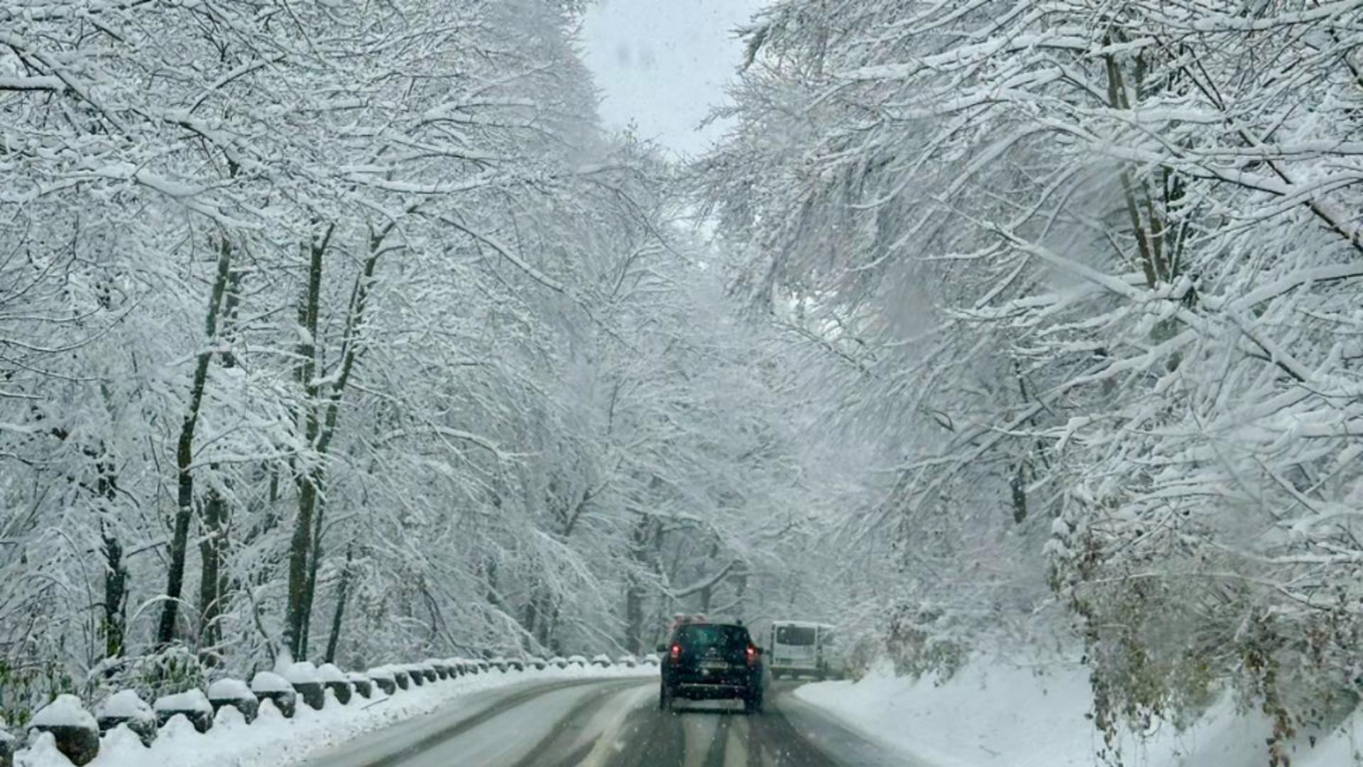 Mircea Fechet a convocat ședință de urgență după CODUL ROȘU de viscol emis de ANM. Este prima ședință CMSU din această iarnă/ Facebook Poiana Brasov - Romania