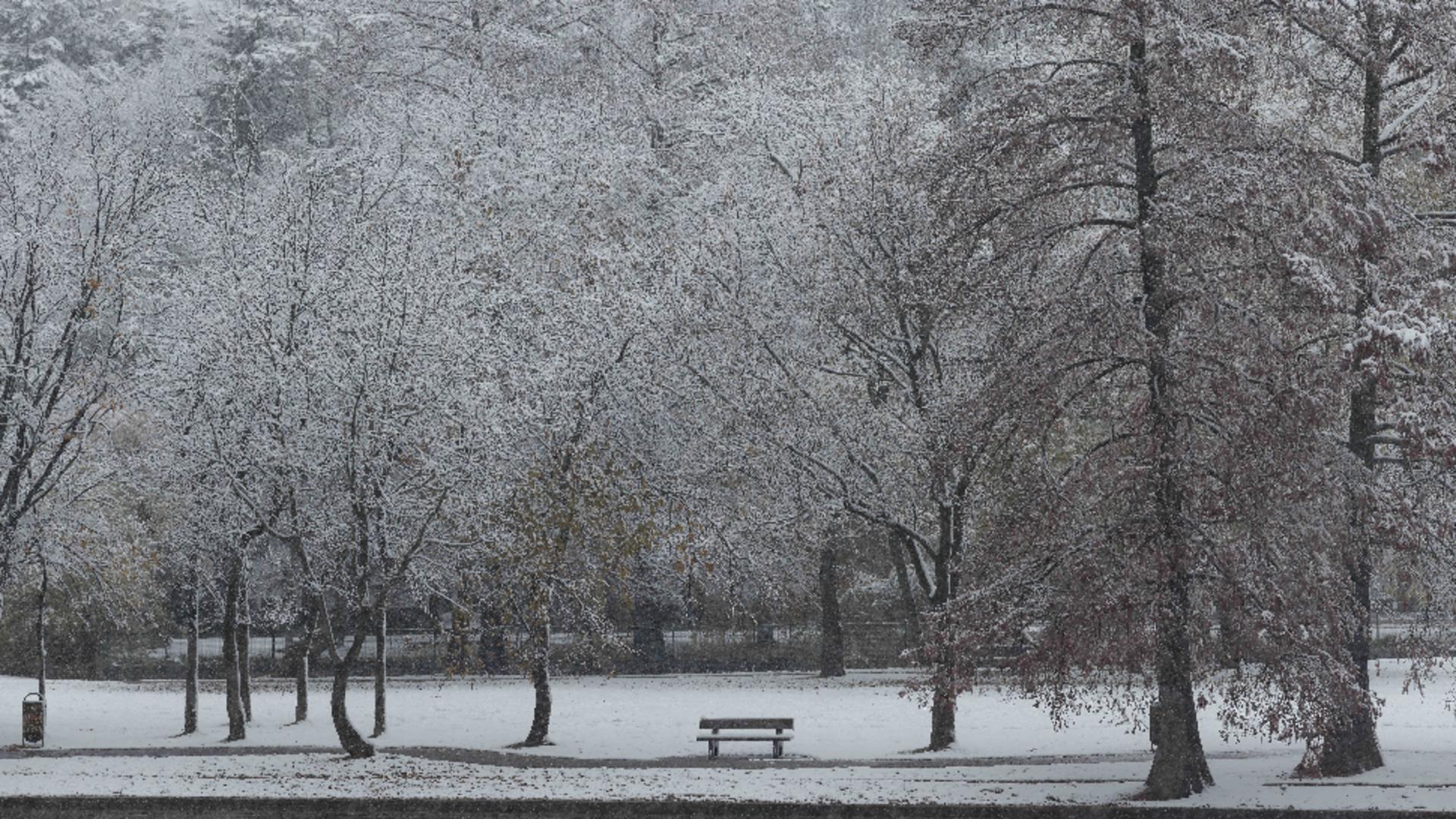 Ninge ca în povești în Capitală / Foto: Arhivă Inquam Photos