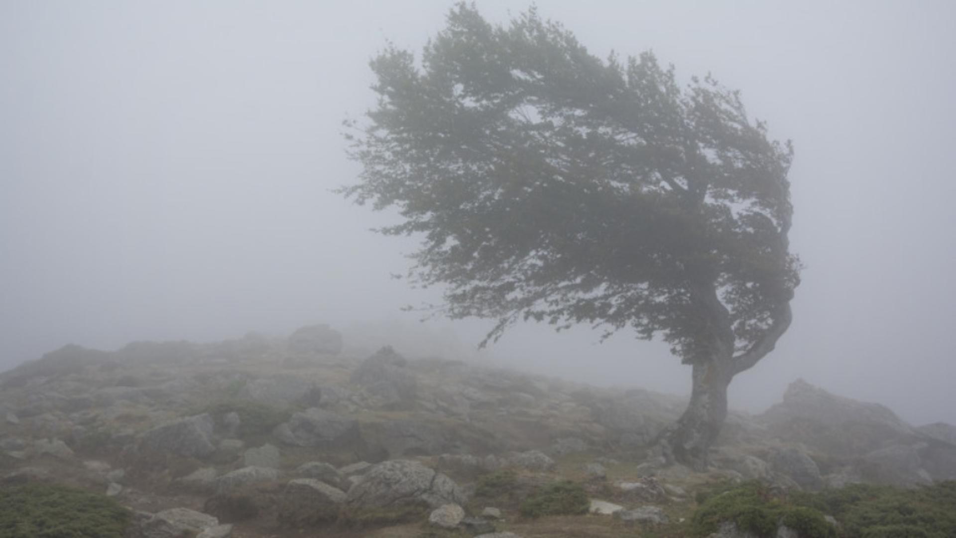 Cum va fi vremea astăzi în România? Avertizări meteo de COD GALBEN pentru vreme severă în zeci de localități