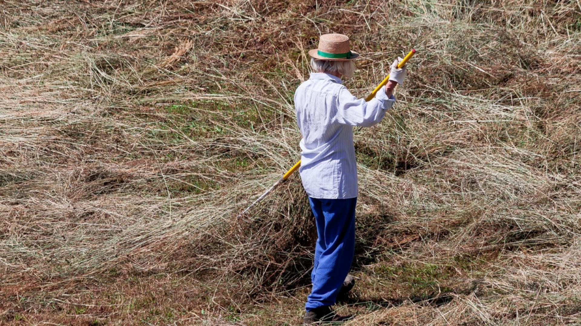 Agricultorii cer despăgubiri de la stat pentru pierderi și credite. Dezastru total în agricultură