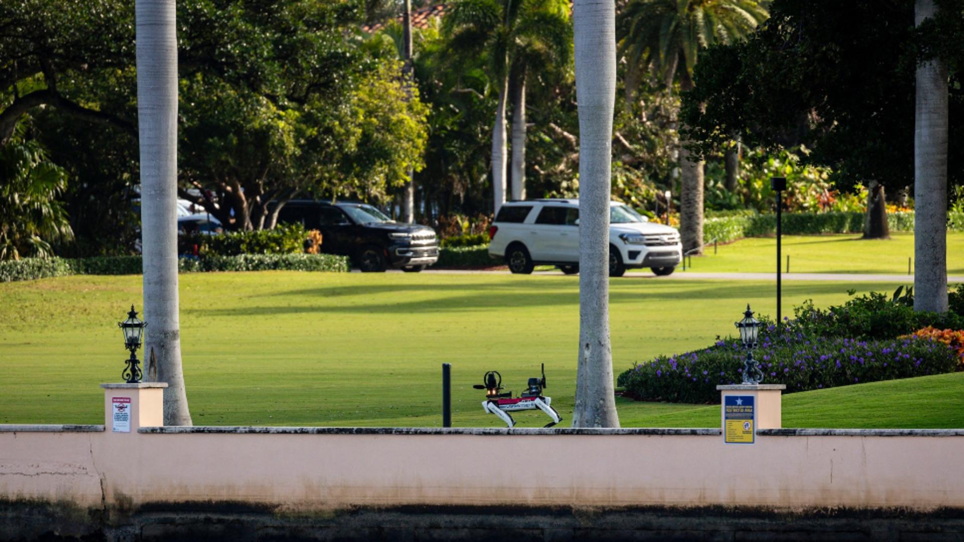 Un câine robot a fost văzut în stațiunea Mar-a-Lago a președintelui ales al SUA, Donald Trump, din Palm Beach, Florida. Foto/Profimedia